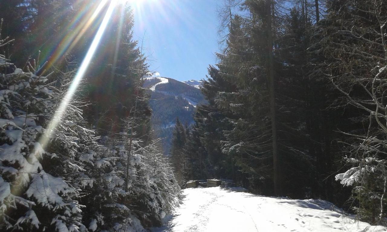 Wohlfuehl & Genusshotel Felsenhof Bad Kleinkirchheim Kültér fotó